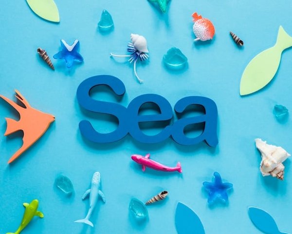 Comment mener une campagne publicitaire à la suite d’un audit SEA ?